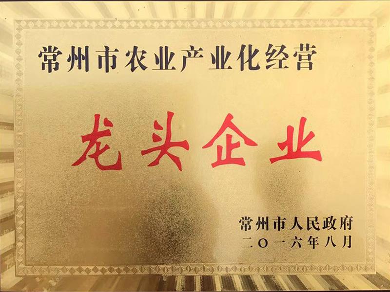榮譽(yù)證書