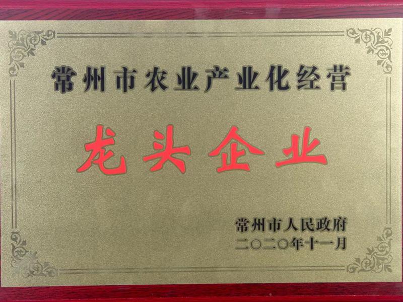 榮譽(yù)證書